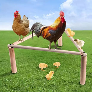 散养鸡栖息架木制鸡架稳固的栖息柱适用于大型鸟类鹦鹉和鸡栖息架