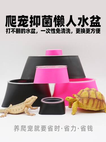 爬宠懒人水盆守宫蜘蛛蛇类爬虫食盆一次性可替换盒宠物水碗多功能