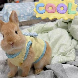 小兔子衣服侏儒兔新款宠物狗狗幼犬奶猫可爱卡通可牵引专用的背心