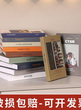 简约现代仿真书装饰摆件高颜值