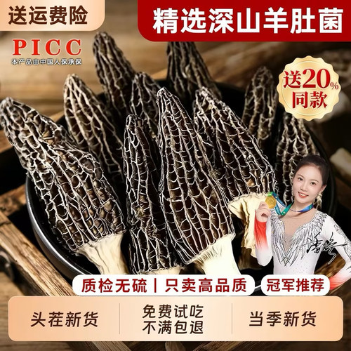 【云南野生羊肚菌】干货头茬大个
