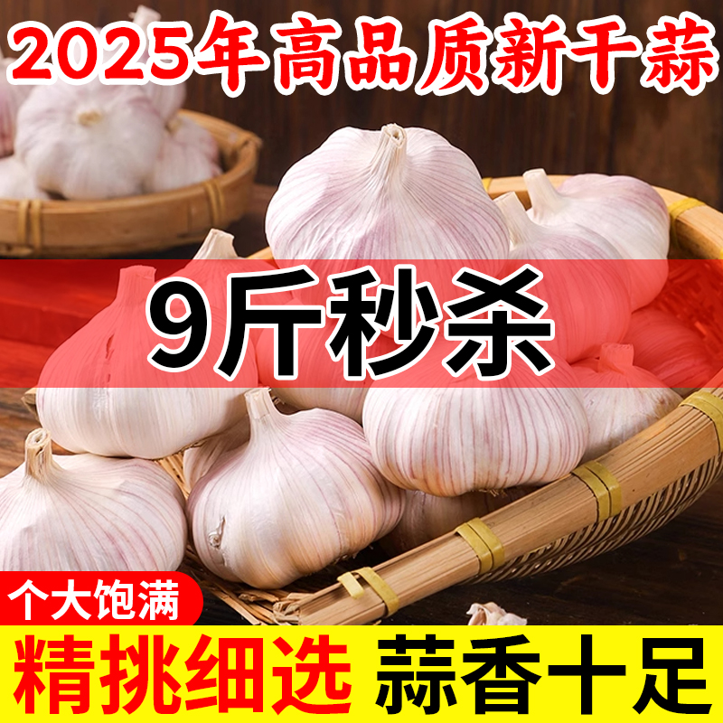 新货9斤蒜头河南【紫皮大蒜】