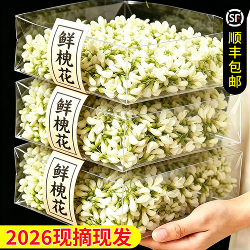 【顺丰包邮】2026新鲜洋槐花