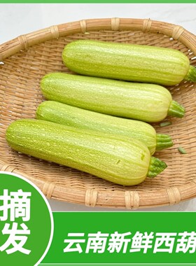 云南农家自种新鲜蔬菜西葫芦小绿瓜三月瓜烧烤用小瓜现摘现发包邮