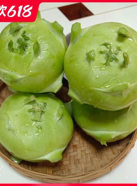 云南省新鲜蔬菜苤蓝水果大头菜疙瘩菜芥菜头泡菜撇了现摘现发包邮