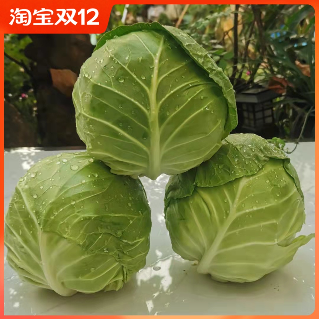 云南省农家自种新鲜蔬菜沙拉包菜卷心菜圆白菜绿甘蓝莲花白包邮-封面