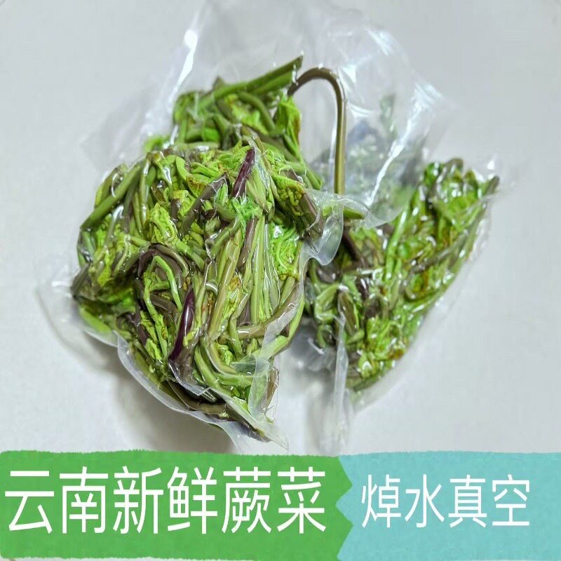 云南省野生蕨菜现摘新鲜菜龙爪菜龙头菜天然绿色蔬菜焯水真空包装