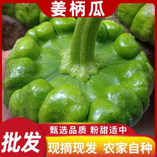 嫩甜面新鲜蔬菜姜柄瓜小面瓜南瓜贝贝瓜农家自种现摘现发包邮