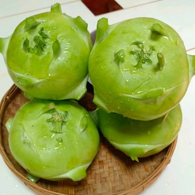 云南新鲜蔬菜苤蓝大头菜芥菜疙瘩甜菜头泡菜农家自种现摘现发包邮