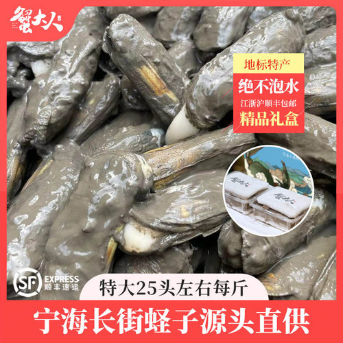 蟹大人鲜活蛏子宁海长街地标特产