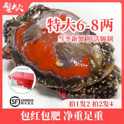 红膏呛蟹飞机宁波特产生腌舟山梭子蟹糊咸蟹醉蟹螃蟹炝蟹即食整只