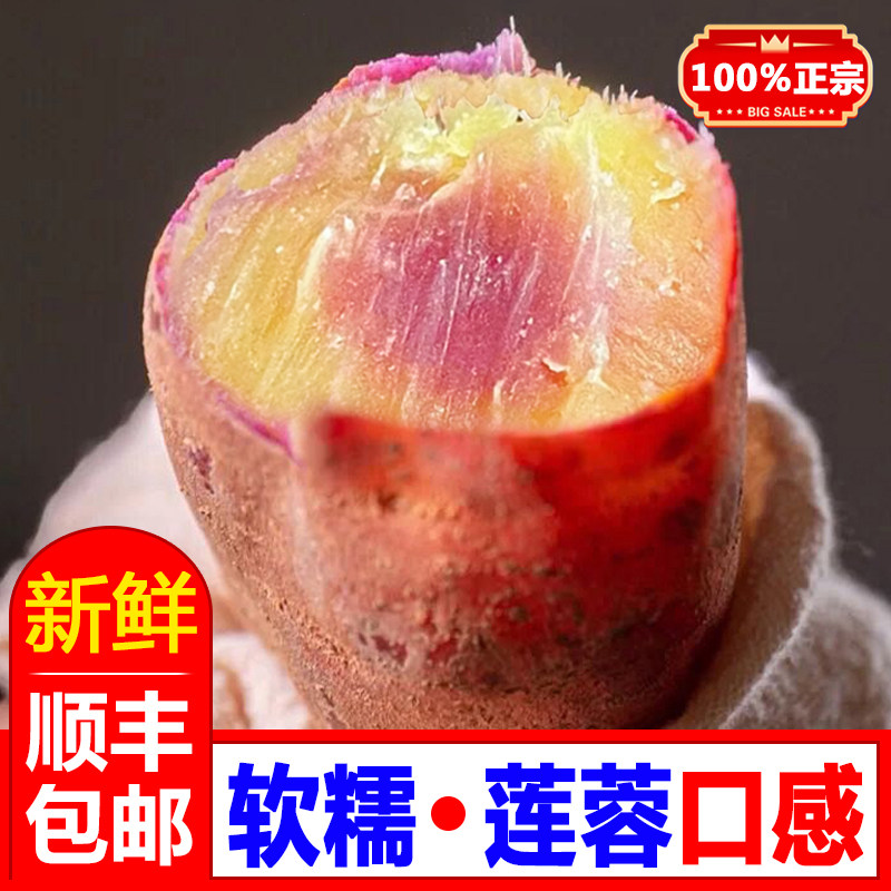 正宗南沙一点红番薯新鲜甜糯广州花心红薯沙地种植红心蜜薯烤红薯