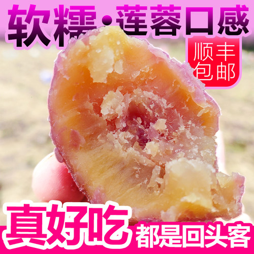 正宗南沙一点红番薯新鲜香甜糯花心红薯广州沙地种植蜜薯烤地瓜