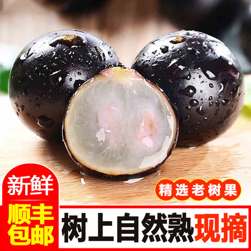 精选沙巴嘉宝果树上自然熟树葡萄清甜不酸孕妇新鲜水果顺丰冷链