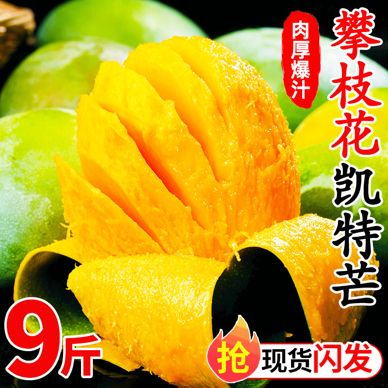 攀枝花凯特芒果特大果甜糯多汁