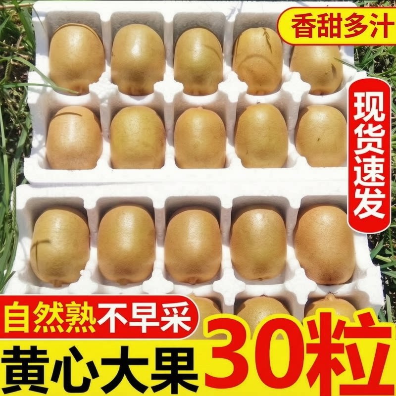 四川黄心猕猴桃奇异果新鲜水果当奇异果/猕猴桃