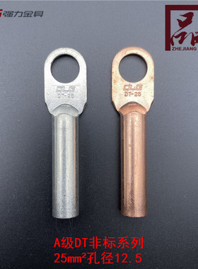 QLG强力金具大孔铜鼻子铜线耳欧式接线国标本色镀锡定做DT25-12.5