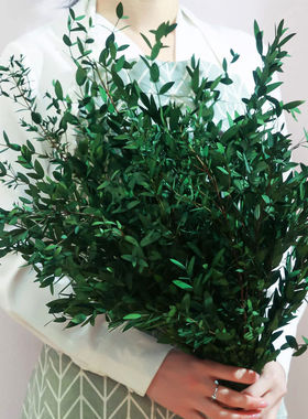 新款细尤加利叶干花永生花桉树叶干花热卖家居装饰浴室装饰