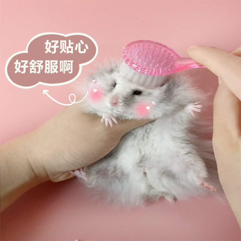 软毛刷梳子清理毛发安抚梳