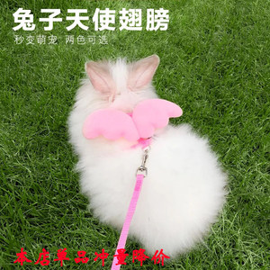 用品衣服链子小宠物防挣脱兔绳