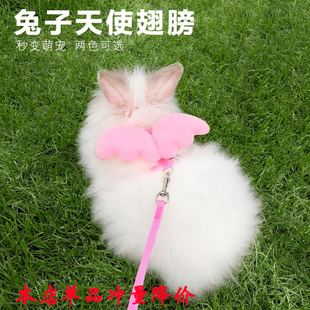 兔子牵引绳兔兔绳子用品衣服链子小宠物遛兔绳溜兔绳牵兔绳防挣脱