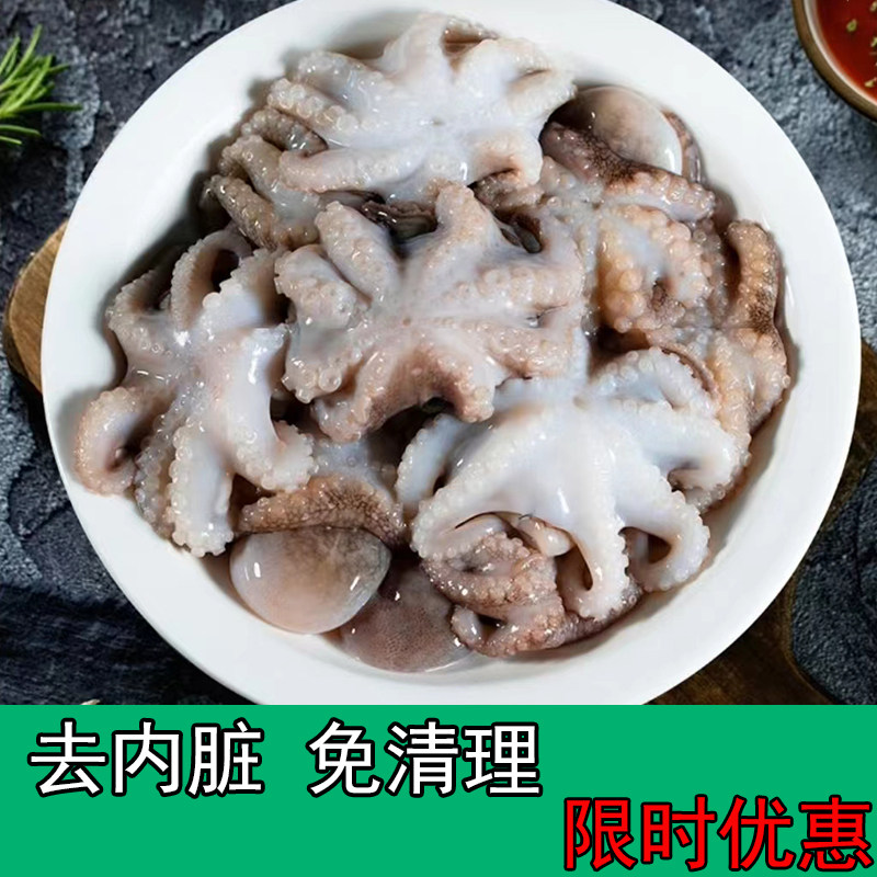 新鲜去内脏八爪鱼单冻迷你八爪鱼短腿香辣免清理不缩水无冰冷冻