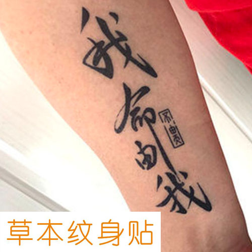 刺青草本纹身贴文字 我命由我不由天中文 防水男女持久仿真ins风
