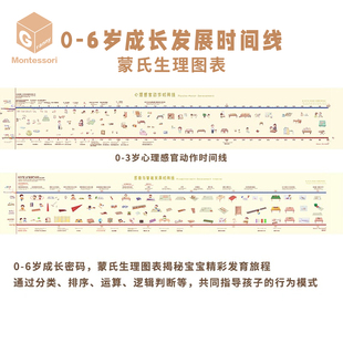 蒙氏生理图表蒙台梭利AMI 36幼儿心理感官动作时间线益智礼物
