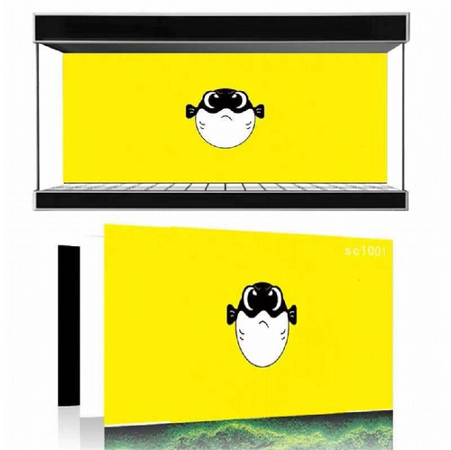 Зебра, аквариум, желтые наклейки, наклейка