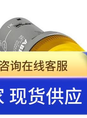 原装ABB黄色按钮指示灯 CL2-501Y 12VDC