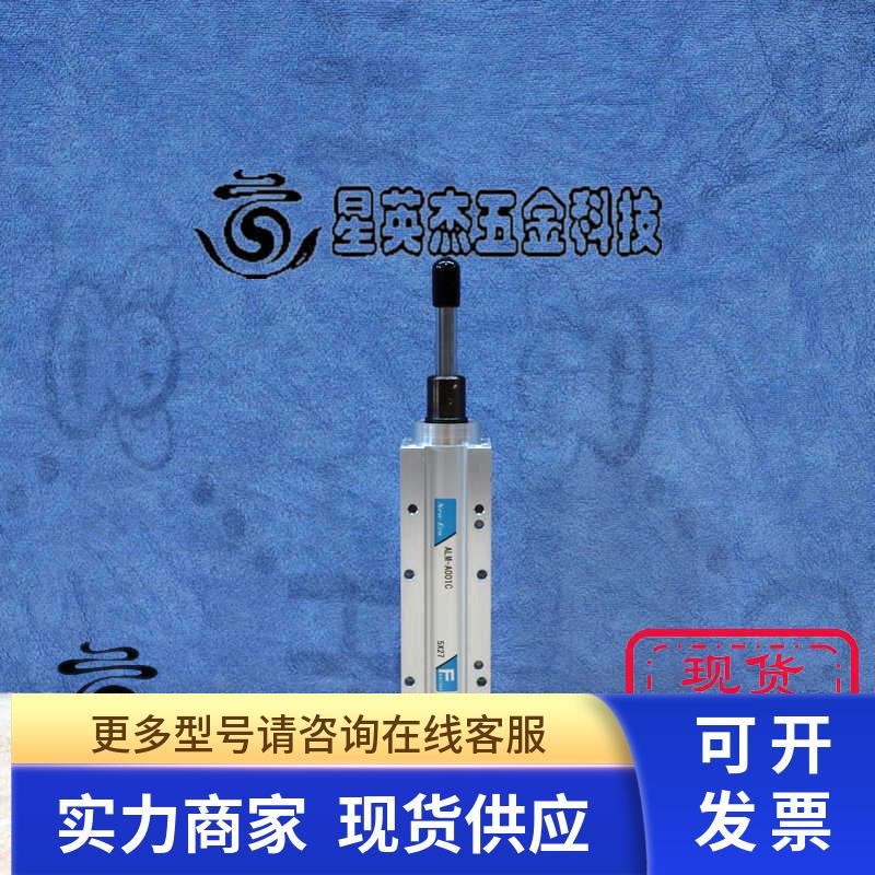 NEW-ERA ALM-A001C 气缸拆机件实物拍摄