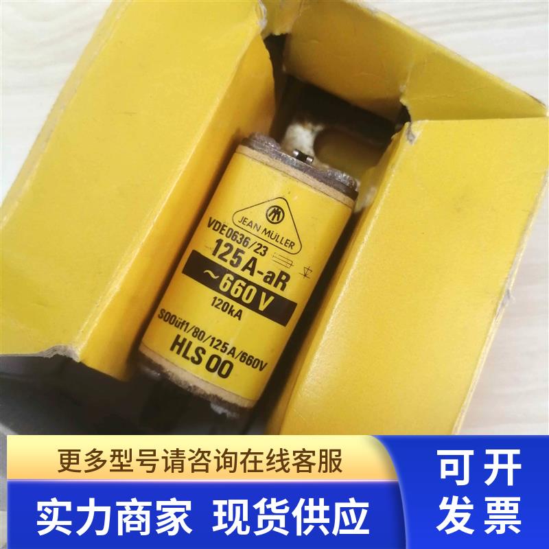 HLS00 金米勒JEAN MULLER快速熔断器  VDE0636/23 125A-aR