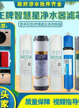 王牌智慧星净水器WP-RO-600/100/400/A6系列通用全套五级滤芯配件