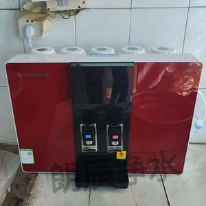 适用志高净水器滤芯CG-RO-HR-101/103用滤芯滤网CG-RO-100G/75G