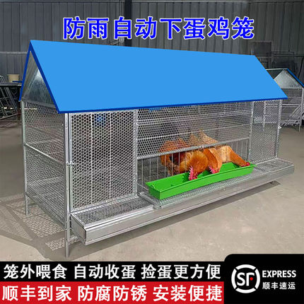 鸡笼子家用室外大号家禽养殖笼防雨防鼠防黄鼠狼防啄自动滚蛋鸡笼
