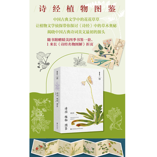 诗经植物图鉴 中国古典文学中的花花草草 让植物文学侦探带你探讨《诗经》中的草木奥秘