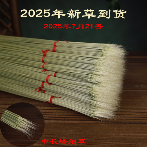 黑虫鼠须格斗用品包邮蛐蛐