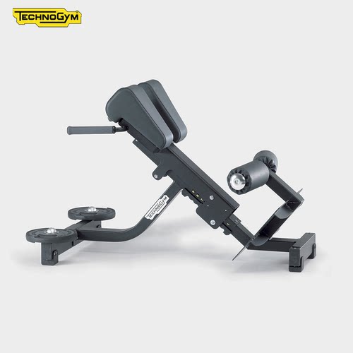 泰诺健背肌训练椅PG05进口