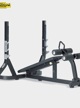 Technogym泰诺健下斜推举椅PG23杠铃卧推架举重床力量健身房器材