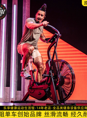 ASSAULT风阻动感单车Air Bike PRO风扇健身自行车家用运动器 进口