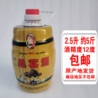 侗乡湖南怀化5斤果子桑葚酒