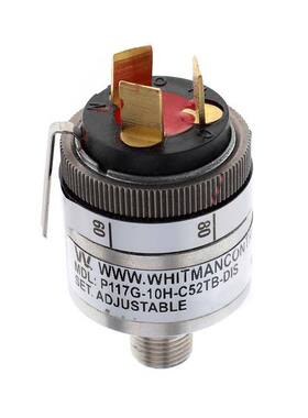 P117G-10H-C52TB-DIS  Whitman Controls, LLC