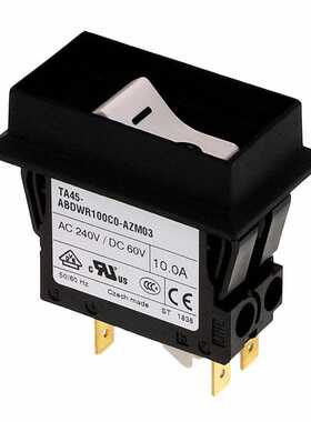 4430.3316 电路保护 《 CIR BRKR THRM 10A 240VAC 60VDC    》