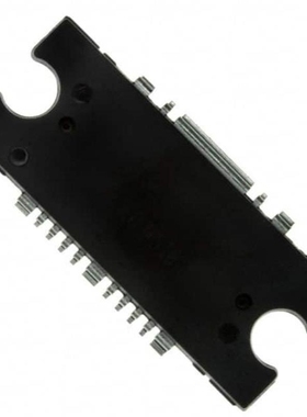 MW4IC2020NBR1 MW4IC2020MBR1 MW4IC2020GNBR1