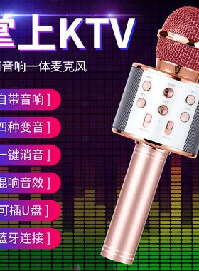 无损音质跨境WS858无线蓝牙麦克风手机k歌宝话筒音响一体儿童唱歌