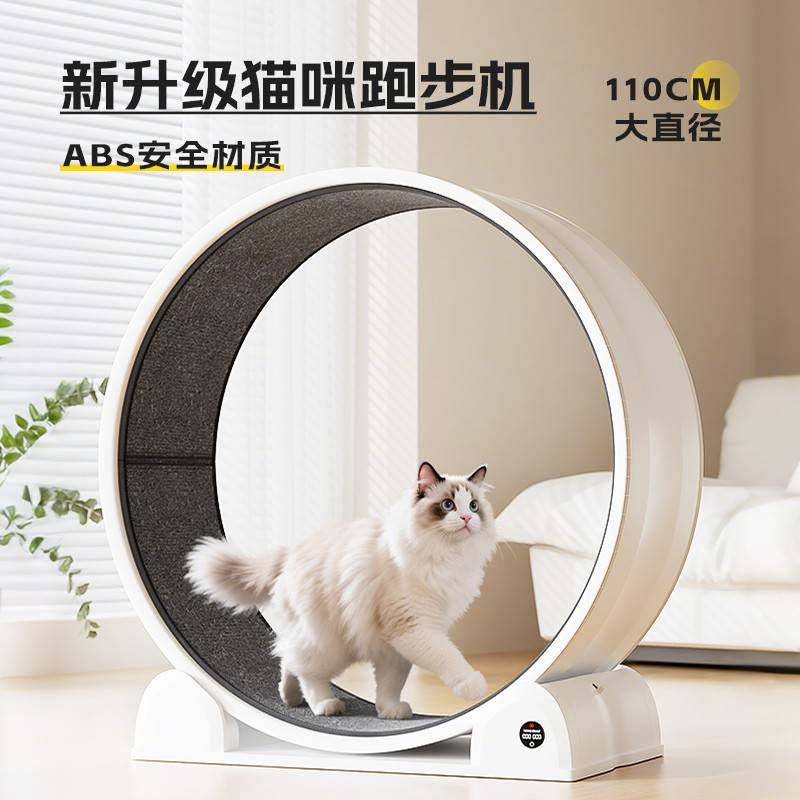 智能显数ABS咪玩运步机猫跑跑滚架轮静音动猫轮健身爬宠猫物猫具,宠物/宠物食品及用品,宠物智能玩具,淘宝优惠券,粉丝福利购,淘宝优惠卷
