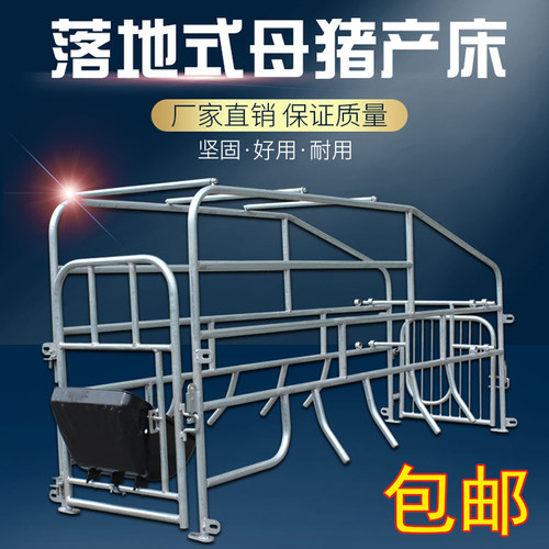 落地式母猪产床保育猪场养殖分娩
