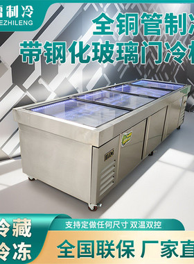冰台不锈钢商用冷冻冷藏