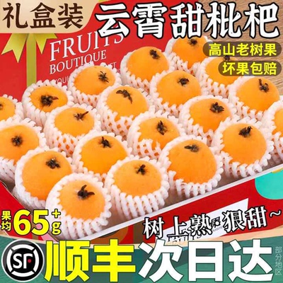 顺丰大果正宗云霄枇杷鲜果