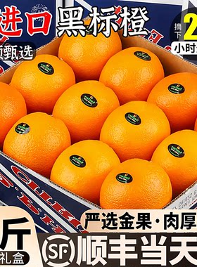 顺丰礼盒进口黑标橙水果当季大果
